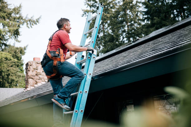 Best Roof Leak Repair  in Hawley, MN